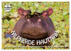 Emotionale Momente: Nilpferde hautnah (Tischkalender 2025 DIN A5 quer), CALVENDO Monatskalender - Ingo Gerlach GDT
