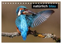 natürlich blau (Tischkalender 2025 DIN A5 quer), CALVENDO Monatskalender - Günter Bachmeier