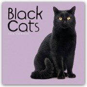 Cover-Bild zum Titel 'Black Cats - Schwarze Katzen 2026 - Wand-Kalender' von 'Carousel Calendar'