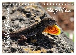 Wilde Fauna - Reptilien (Tischkalender 2025 DIN A5 quer), CALVENDO Monatskalender - Uwe Bade Ralf Emmerich