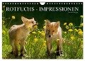 Rotfuchs - Impressionen (Wandkalender 2024 DIN A4 quer), CALVENDO Monatskalender - Susanne Danegger