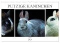 Putzige Kaninchen - Artwork (Wandkalender 2024 DIN A3 quer), CALVENDO Monatskalender - Liselotte Brunner-Klaus