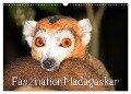 Faszination Madagaskar (Wandkalender 2024 DIN A3 quer), CALVENDO Monatskalender - Karsten-Thilo Raab