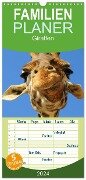 Familienplaner 2024 - Giraffen mit 5 Spalten (Wandkalender, 21 x 45 cm) CALVENDO - Elisabeth Stanzer