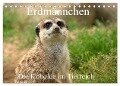 Erdmännchen - Die Kobolde im Tierreich (Tischkalender 2024 DIN A5 quer), CALVENDO Monatskalender - Arno Klatt