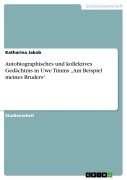 Autobiographisches und kollektives Gedächtnis in Uwe Timms "Am Beispiel meines Bruders" - Katharina Jakob