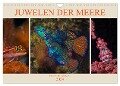 Juwelen der Meere (Wandkalender 2024 DIN A4 quer), CALVENDO Monatskalender - Dieter Gödecke