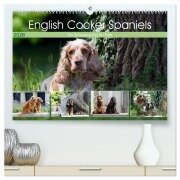 English Cocker Spaniels - Ein Spaziergang im Park (hochwertiger Premium Wandkalender 2026 DIN A2 quer), Kunstdruck in Hochglanz - Fotodesign Verena Scholze