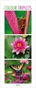 Cover-Bild zum Titel 'Colour Triplets 2026' von ''