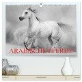 Arabische Pferde (hochwertiger Premium Wandkalender 2024 DIN A2 quer), Kunstdruck in Hochglanz - Elisabeth Stanzer