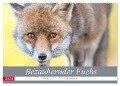 Bezaubernder Fuchs - ein Freund auf leisen Sohlen (Wandkalender 2024 DIN A2 quer), CALVENDO Monatskalender - Perdita Petzl