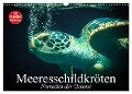 Meeresschildkröten. Nomaden der Ozeane (Wandkalender 2025 DIN A3 quer), CALVENDO Monatskalender - Elisabeth Stanzer