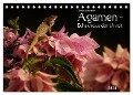 Agamen - Echsen aus der Urzeit (Tischkalender 2024 DIN A5 quer), CALVENDO Monatskalender - Bianca Schumann