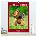 Airedale Terrier - Temperament auf 4 Pfoten (hochwertiger Premium Wandkalender 2025 DIN A2 hoch), Kunstdruck in Hochglanz - Sigrid Starick