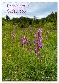 Orchideen in Südeuropa (Wandkalender 2024 DIN A2 hoch), CALVENDO Monatskalender - Benny Trapp