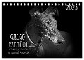Galgo Español - der spanische Windhund 2025 (Tischkalender 2025 DIN A5 quer), CALVENDO Monatskalender - Pfoten-Design Andrea Redecker