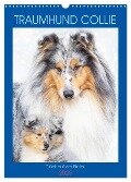 Traumhund Collie - Glück auf vier Pfoten (Wandkalender 2025 DIN A3 hoch), CALVENDO Monatskalender - Sigrid Starick