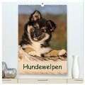 Hundewelpen (hochwertiger Premium Wandkalender 2024 DIN A2 hoch), Kunstdruck in Hochglanz - Katho Menden