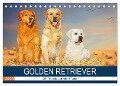 Golden Retriever - Ein Freund auf vier Pfoten (Tischkalender 2025 DIN A5 quer), CALVENDO Monatskalender - Sigrid Starick