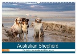 Australian Shepherd 2025 (Wandkalender 2025 DIN A3 quer), CALVENDO Monatskalender - Annett Mirsberger
