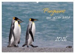 Cover-Bild zum Titel 'Pinguine aus aller Welt (Wandkalender 2026 DIN A2 quer), CALVENDO Monatskalender' von 'Brigitte Schlögl'