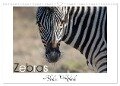 Zebras - Afrikas Wildpferde (Wandkalender 2024 DIN A3 quer), CALVENDO Monatskalender - Irma van der Wiel