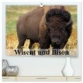 Wisent und Bison (hochwertiger Premium Wandkalender 2024 DIN A2 quer), Kunstdruck in Hochglanz - Elisabeth Stanzer