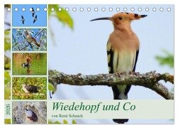 Wiedehopf und Co - von René Schaack (Tischkalender 2026 DIN A5 quer), CALVENDO Monatskalender - René Schaack