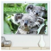 Koalas: die flauschigen Herzensbrecher (hochwertiger Premium Wandkalender 2026 DIN A2 quer), Kunstdruck in Hochglanz - Calvendo Calvendo