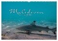 Unterwasserwelt der Malediven I (Wandkalender 2024 DIN A2 quer), CALVENDO Monatskalender - Clave Rodriguez Photography