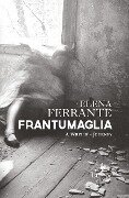 Frantumaglia: A Writer's Journey - Elena Ferrante