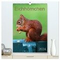 Eichhörnchen (hochwertiger Premium Wandkalender 2024 DIN A2 hoch), Kunstdruck in Hochglanz - SchnelleWelten SchnelleWelten