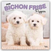 Cover-Bild zum Titel 'Bichon Frisé Puppies - Bichon Frisé Welpen 2026 - 16-Monatskalender' von 'Browntrout Publishers'