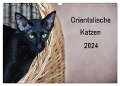 Orientalische Katzen (Wandkalender 2024 DIN A3 quer), CALVENDO Monatskalender - Heidi Bollich
