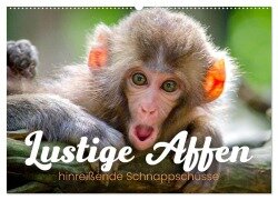 Lustige Affen - hinreißende Schnappschüsse (Wandkalender 2025 DIN A2 quer), CALVENDO Monatskalender - Happy Monkey