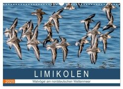 Limikolen - Watvögel am norddeutschen Wattenmeer (Wandkalender 2025 DIN A3 quer), CALVENDO Monatskalender - Arne Wünsche