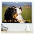 Treuer Freund Berner Sennenhund (hochwertiger Premium Wandkalender 2025 DIN A2 quer), Kunstdruck in Hochglanz - Sigrid Starick