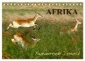 Afrika - Faszinierende Tierwelt (Tischkalender 2024 DIN A5 quer), CALVENDO Monatskalender - Nadine Haase