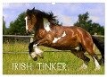 Irish Tinker (Wandkalender 2024 DIN A3 quer), CALVENDO Monatskalender - Gabriela Wejat-Zaretzke