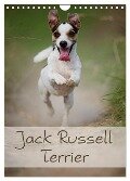 Jack Russell Terrier (Wandkalender 2024 DIN A4 hoch), CALVENDO Monatskalender - Nicole Noack