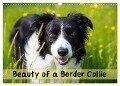 Beauty of a Border Collie (Wall Calendar 2025 DIN A3 landscape), CALVENDO 12 Month Wall Calendar - Andrew Kearton