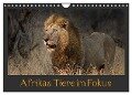 Afrikas Tiere im Fokus (Wandkalender 2024 DIN A4 quer), CALVENDO Monatskalender - Johann Schörkhuber