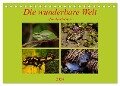 Die wunderbare Welt der Amphibien (Tischkalender 2024 DIN A5 quer), CALVENDO Monatskalender - Winfried Erlwein