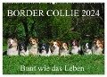 Border Collie 2024 (Wandkalender 2024 DIN A2 quer), CALVENDO Monatskalender - Sigrid Starick