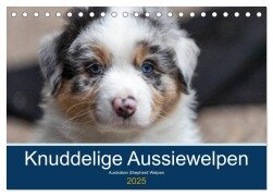 Australian Shepherd Welpen 2025 (Tischkalender 2025 DIN A5 quer), CALVENDO Monatskalender - Annett Mirsberger www. annettmirsberger. de