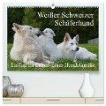 Weißer Schweizer Schäferhund - Ein Tag im Leben einer Hundefamilie (hochwertiger Premium Wandkalender 2024 DIN A2 quer), Kunstdruck in Hochglanz - Sigrid Starick