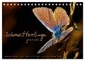 Schmetterlinge ganz nah (Tischkalender 2024 DIN A5 quer), CALVENDO Monatskalender - Julia Delgado