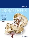 PROMETHEUS LernPaket Anatomie Schädel - Jürgen Lüthje, Erik Schulte, Udo Schumacher, Michael Schünke