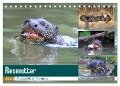 Riesenotter - Flusswölfe im Pantanal (Tischkalender 2024 DIN A5 quer), CALVENDO Monatskalender - Michael und Yvonne Herzog