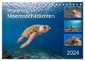 Begegnung mit Meeresschildkröten (Tischkalender 2024 DIN A5 quer), CALVENDO Monatskalender - Yvonne Tilo Kühnast - naturepics